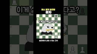 풍차
