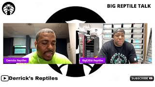 BIG REPTILE TALK with Ebony N Ivory Reptiles