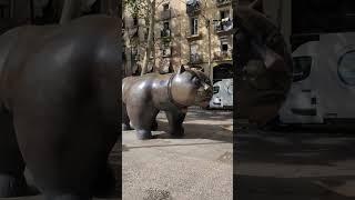 Big cat in barcelona