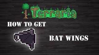 Terraria : " Batwings " [How To Get] [Step by Step]