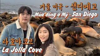 [미국여행] 12월30일 샌디에고 라호야코브 Nước Mỹ vào ngày 30 tháng 12 San Diego, La Jolla Cove