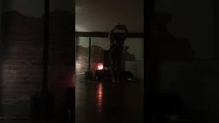 Hasta Vinyasa / Vinyasa Krama Yoga practice from Ramaswami Srivatsa