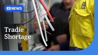 Why do nearly half of all apprentices drop out? | ABC NEWS