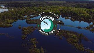 Окский государственный заповедник