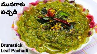 మునగాకు రోటి పచ్చడి | Munagaku Chutney | Munagaku Pachadi recipe | Drumstick Leaves Chutney