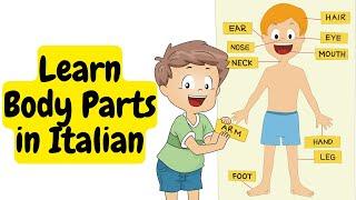 Human body parts in Italian #italian #language #pakistan #urdu #english #learning #bodyparts