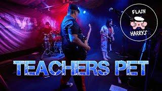 Teachers Pet, Performed by The Flash Harrys - Live at Lovelands