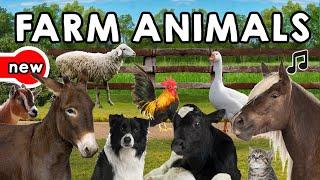 Farm Animals Song and Vocabulary (İngilizce Çiftlik Hayvanları Şarkısı ve Sözlüğü)