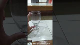 In Hand Review of Stub Stem Water Glass Goblet 11.75 Oz