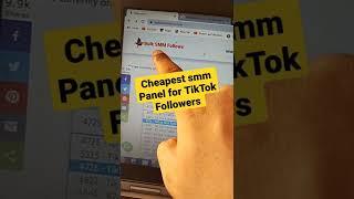 Cheapest smm Panel for TikTok Followers #shorts #viral #tiktok