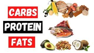 Carbs Protein Fat Explained!