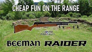 Beeman Raider: Cheap Fun on the Range