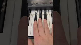 Learn the names of the Piano Keys - D #piano #pianocover #pianolessons