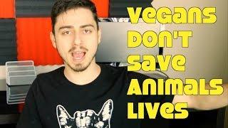 Debunking Rob's Rants Why Vegans Are Wrong Video