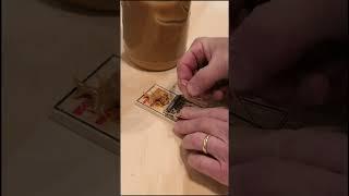 Mouse Trap Basics In One Minute