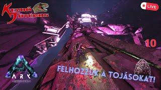Ark: Aberration 10.rész - Felhozzuk a tojásokat! (DRAKE keltetés és nevelés!) - Kezdő-Live