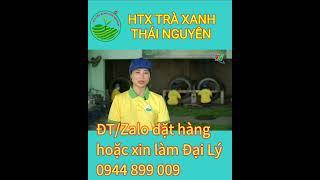 trà bắc thái nguyên ngon nhất |#shorts