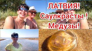  У НАС ВОРУЮТ ДЕНЬГИ  Ruta Vlog @HozajushkaRuta @RutaLutkevica