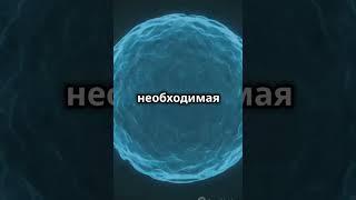 Ядерные силы. Энергия связи