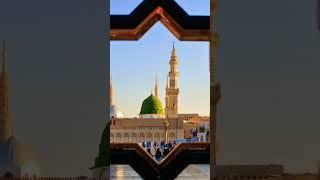 MADINAH️#allah #islam | LIGHT OF ISLAM 25 |