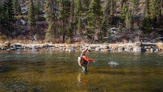 Fly Fishing an INCREDIBLE Stream for BIG TROUT!!!