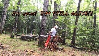 CABIN BUILD: LOGGING AND SITE CLEARING. EPISODE 2