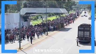 Caravan of migrants from Mexico is normal: National Border Patrol Council VP | Morning in America