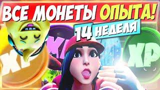 ВСЕ МОНЕТЫ ОПЫТА 15 СЕЗОНА В ФОРТНАЙТ! МОНЕТЫ XP В FORTNITE ► КАРТА ИСПЫТАНИЙ МОНЕТ 8 (14 НЕДЕЛЯ)