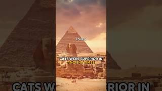 EGYPT CATS WERE DIFFERENT ‍⬛ #GG33