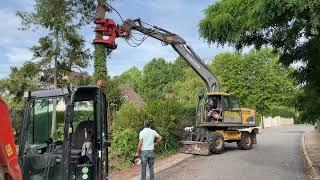 Abattage d’un arbre avec un sécateur