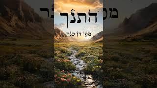 The book of Samuel - biblical hebrew audio book