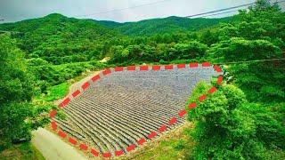 평창부동산 해발고도700 전원주택지 토지매매 [강원도 평창군 방림면부동산 매물] #평창토지매매