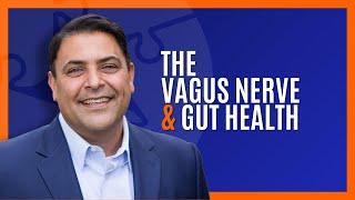 The Vagus Nerve And Gut Health