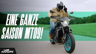 Mehr Nakedbike braucht es nicht! Dauertest Yamaha MT-09 2024 Zubehör, Akrapovic, Erfahrungen