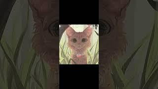 The Forest changes the Firestar's life || #warriorcats #shorts