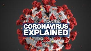 Coronavirus Solution Vaccines - Dreams of Muhammad Qasim -  Allah and Muhammad SAW in my Dreams