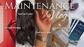 MAINTENANCE ROUTINE | hair, nails, diy brow lamination, teeth whitening, etc.