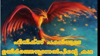 ഫീനിക്സ് പക്ഷിയുടെ യഥാർത്ഥ  കഥ | Motivational story of Phoenix | Life lessons from Phoenix bird