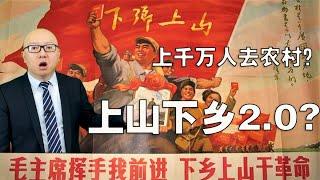 人民日报发文，上山下乡2 0要来了？三年内一千万高校毕业生到农村去？(2020-07-09第319期)