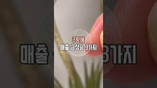 쿠팡 매출 급상승 3가지 #살림남