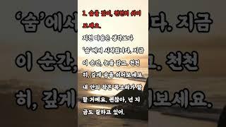 삶이 힘들다고 느껴질 때, 당신에게 필요한 5가지 위로 #영감을주는이야기 #동화 #따뜻한이야기