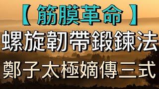醫療太極：【筋膜革命】「螺旋韌帶鍛鍊法」曝光！鄭子太極嫡傳三式，練出超導體級氣血通路！#health