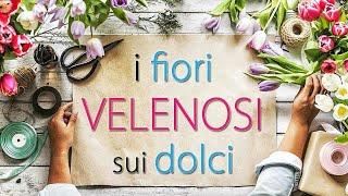 Quali fiori sono velenosi sui dolci | UnicornsEatCookies