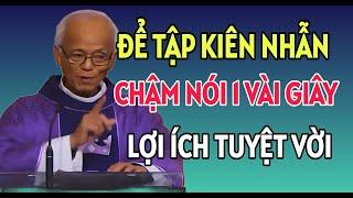 ĐỂ TẬP KIÊN NHẪN HÃY CHẬM NÓI LẠI 1 VÀI GIÂY LỢI ÍCH TUYỆT VỜI | CHA PHẠM QUANG HỒNG THUYẾT GIẢNG