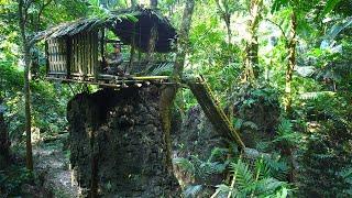 Solo Bushcaft: Build a shelter on top of a giant rock. Trap birds for dinner - P.4