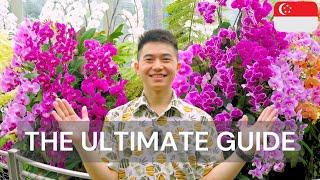 The Ultimate Guide to Singapore Botanical Gardens