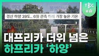 경북 경산 하양 '하프리카'라고 불리는 이유️ㅣTBC e슈