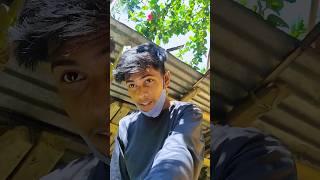 Lambu Hone Ka Nuksaan 