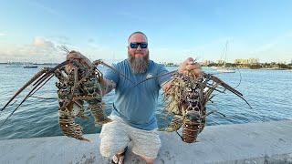 Florida’s Most Expensive Seafood All in One Trip! | Lobster, Shrimp, Stone Crab | Catch, Clean, Cook