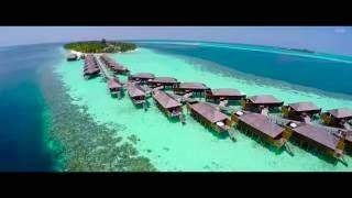 Coral Club Maldives 2018!